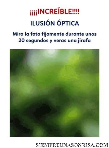 Ilusion óptica