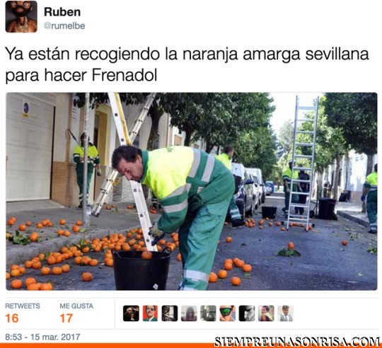 Las Naranjas del frenadol