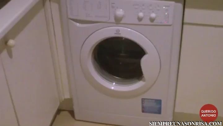 Mi lavadora canta «La Macarena»