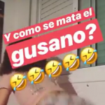Como se mata el Gusano ?