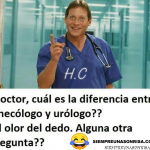 Cual es la diferencia entre Ginecólogo y Urólogo ?