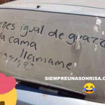 Si eres igual de guarro en la cama, llámame
