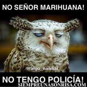 Humor Marihuanero, fotos, animales,graciosos,marihuana