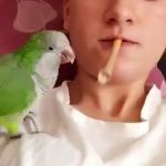 Me había robado el porro miniatura