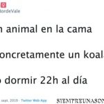 Soy un animal en la cama
