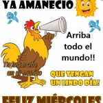 fotos de miercoles