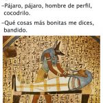 piropos, egipto,fotos,viñetas,humor grafico