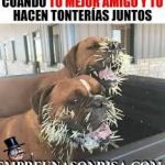 tonterias,amigos,fotos,imagenes