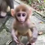 Cuando mi mamá me ve hablando con un extraño... - - miniatura
