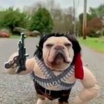 Definamos esto, Rambo o Machete.. - - miniatura