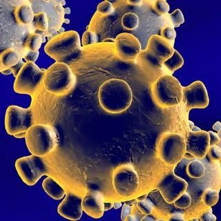 Chistes y Tuits del Coronavirus