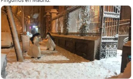 Filomena trae pinguinos a Madrid