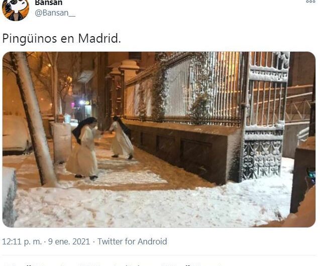 Temporal Filomena trae pinguinos a Madrid