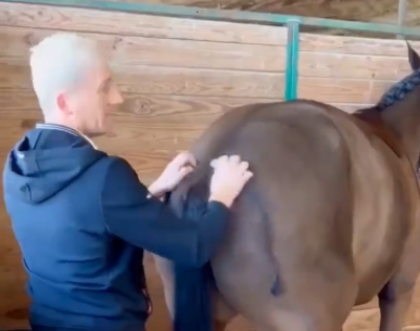 Este caballo le pide a su dueño que siga rascándole de una forma muy graciosa