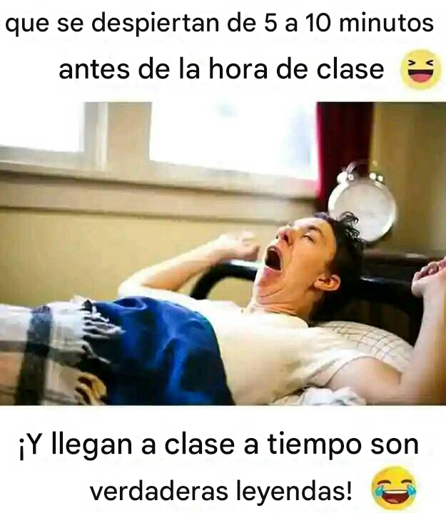 memes,humor,gratis,gatos,animales