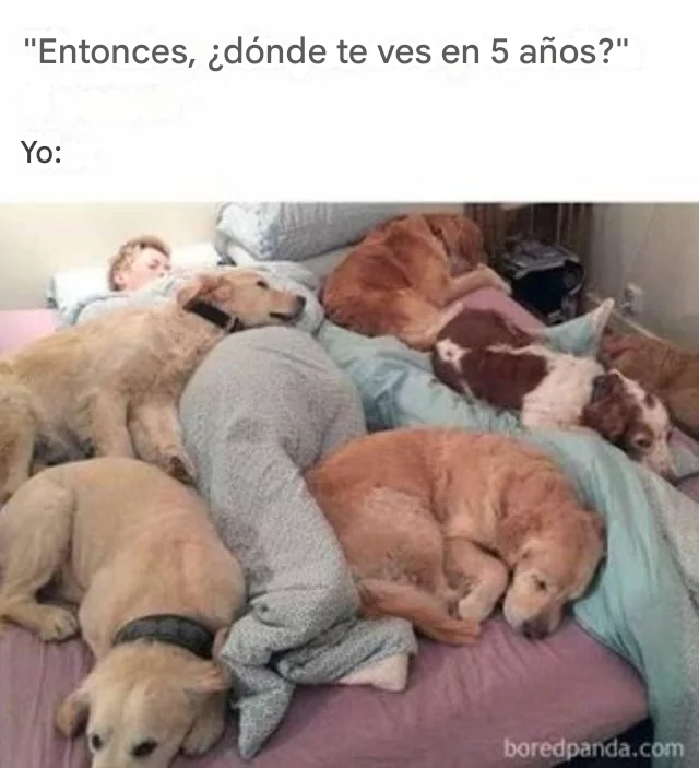 imagenes de humor, chistes,humor gráfico, memes