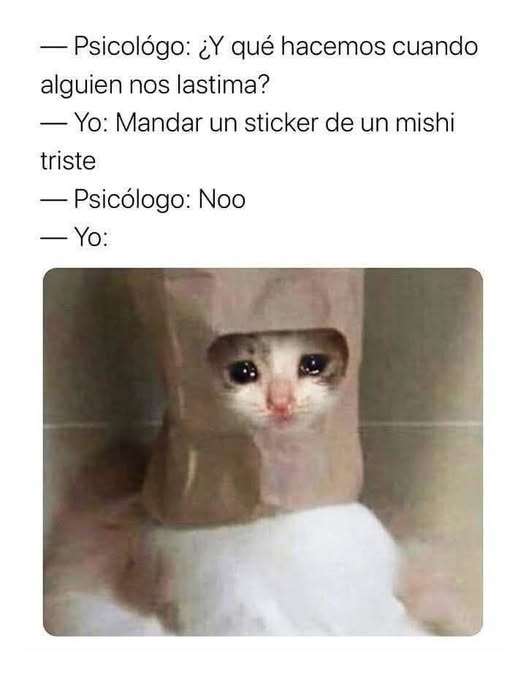 memes,humor,gratis,gatos,animales