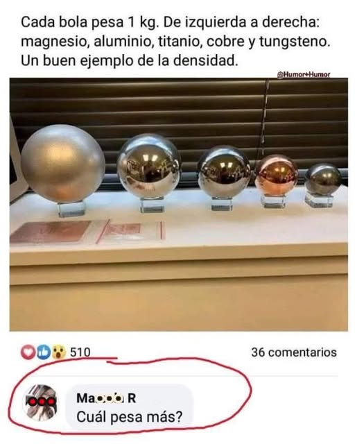 memes,humor,gratis,gatos,animales