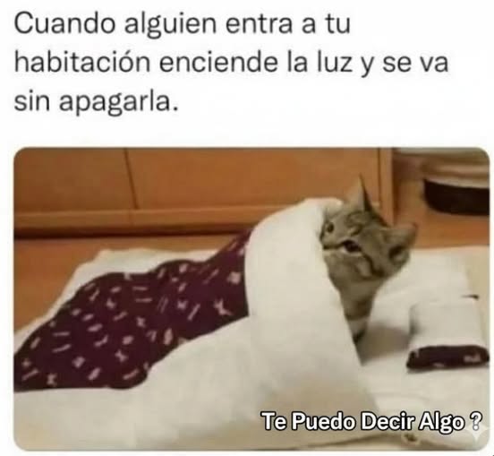 Imagenes con Frases divertidas