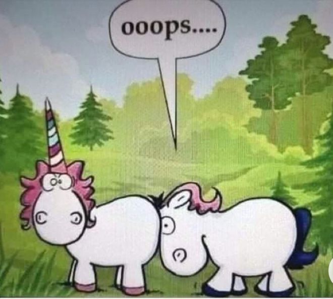 Humor mil en fotos y memes divertidos