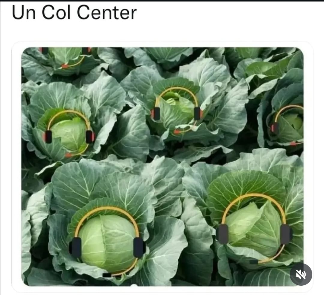 Imagenes con Frases divertidas