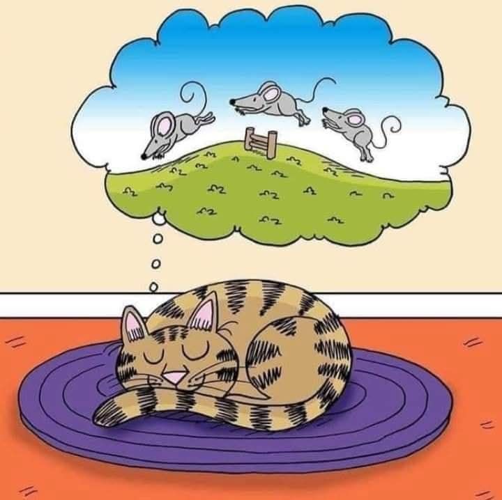 Divertidos Comics y Viñetas de humor