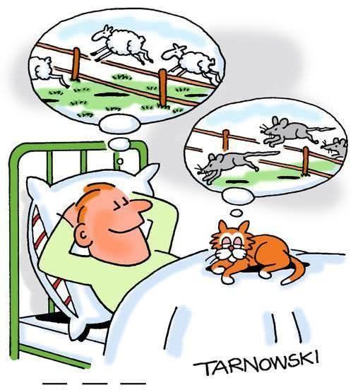 Divertidos Comics y Viñetas de humor