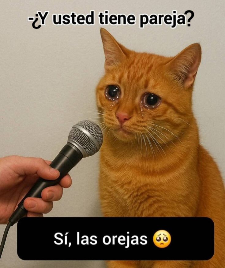 Fotos graciosas, humor, memes graciosos