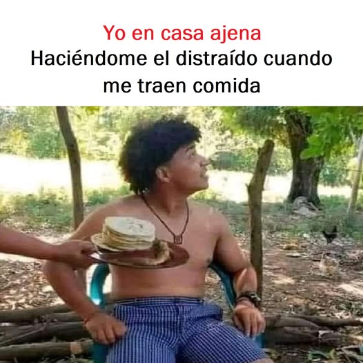 Compartir memes es cultura, no delito