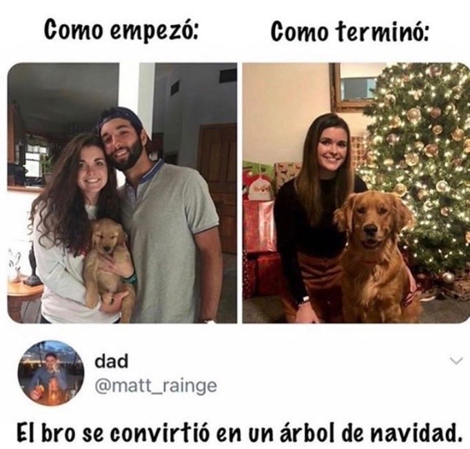 Imagenes de risa y humor viral, fotos de humor en español