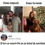 Ya vendrás a por memes