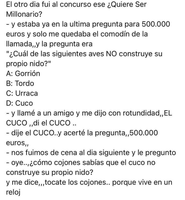 chistes, humor, programas televisión
