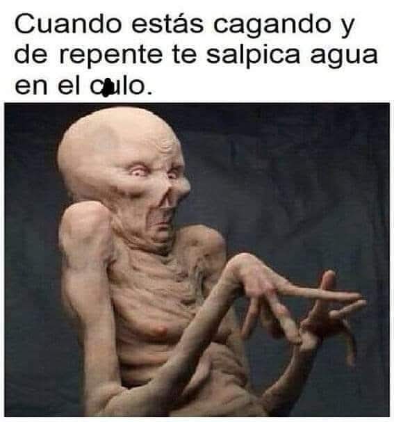 Fotos graciosas, humor, memes graciosos