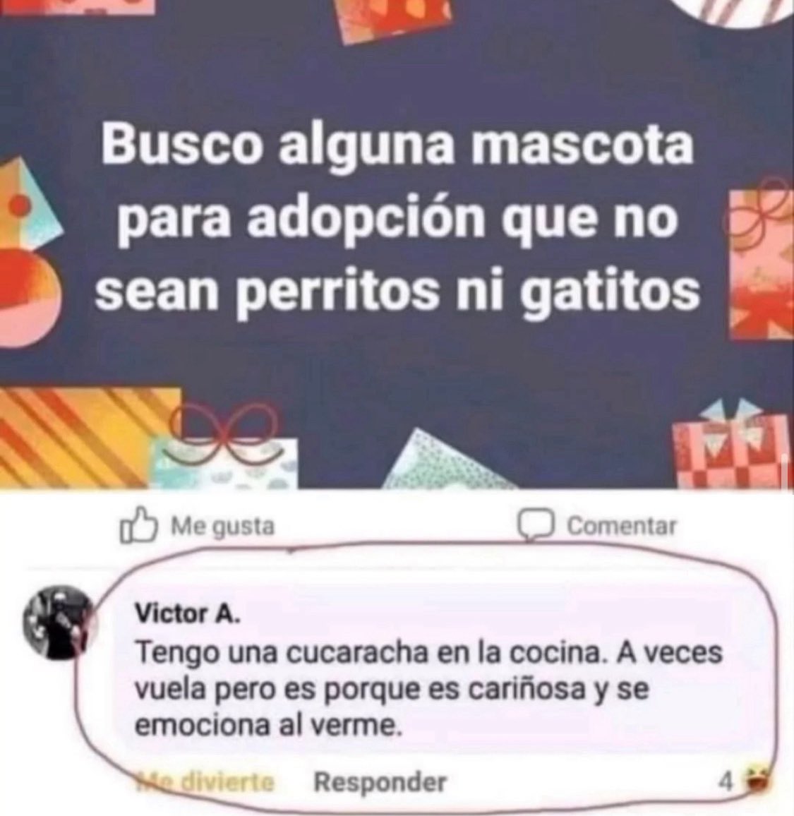 preguntas graciosas, fotos preguntas divertidas, mascotas