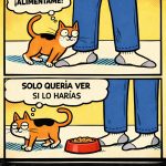 Los Gatos son unos Manipuladores.....,memes gatos, comics de gato