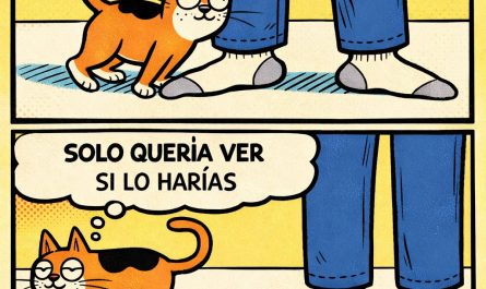 Los Gatos son unos Manipuladores.....,memes gatos, comics de gato