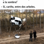 memes, humor, coches, mari carmen, mujeres