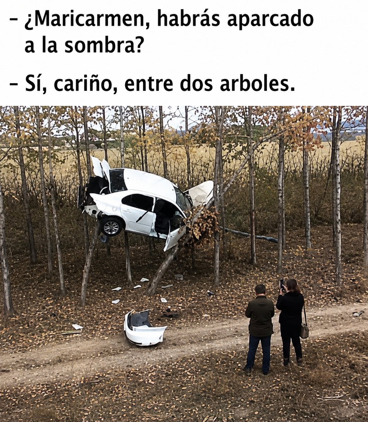 memes, humor, coches, mari carmen, mujeres