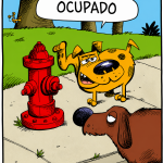 ¡Ni para marcar territorio hay sitio libre! 🤣