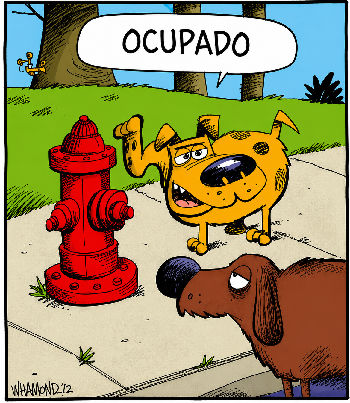 ¡Ni para marcar territorio hay sitio libre! 🤣