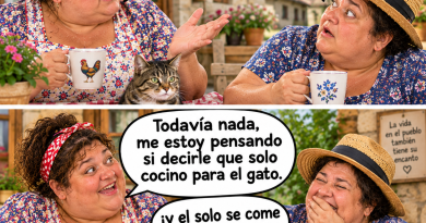 chistes de matrimonio, humor matrimonial, memes graciosos, chistes de marido y mujer, humor de pareja, humor cotidiano, chistes de pueblo