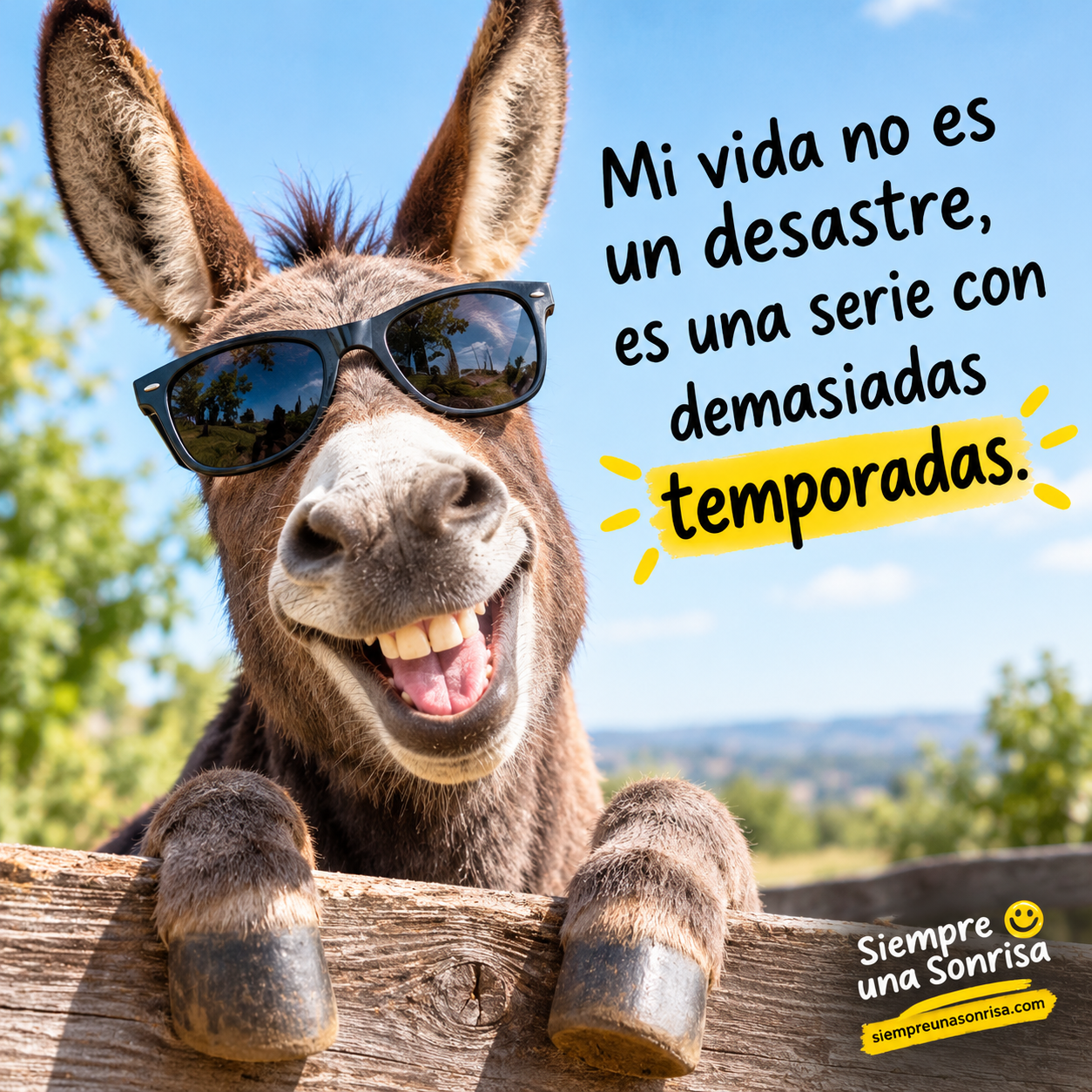 frases graciosas, frases de humor, frases divertidas, humor cotidiano, frases para compartir, frases cortas de risa.