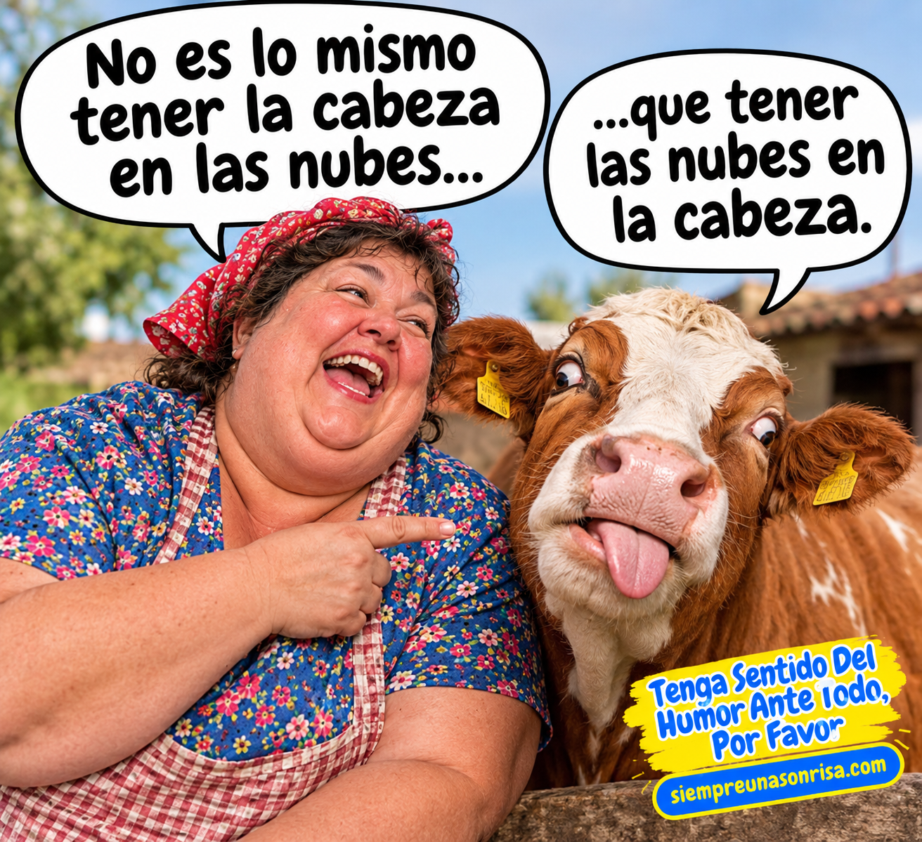 frases no es lo mismo, juegos de palabras, humor, frases con foto