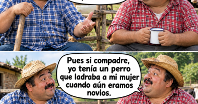 humor compadres, catastrofes, animales, novios, risas