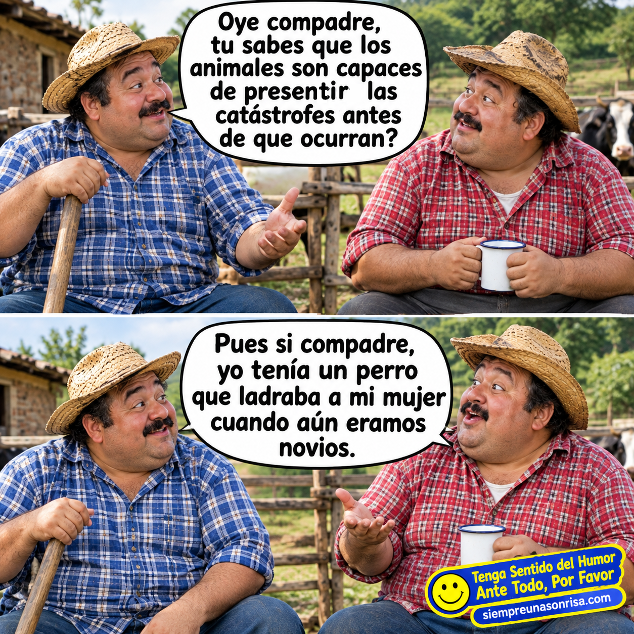 humor compadres, catastrofes, animales, novios, risas