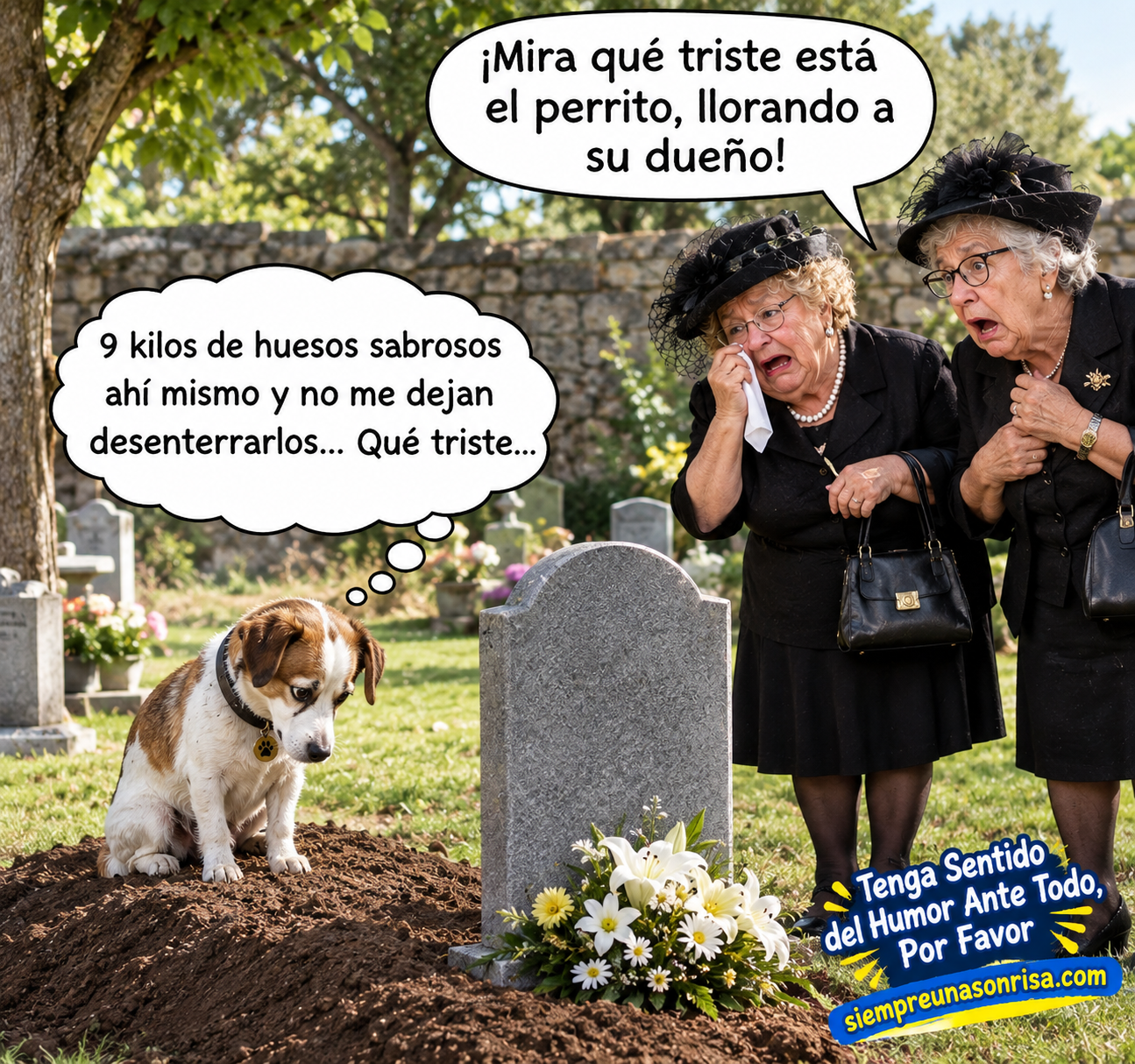 humor negro, chistes de cementerios, ancianas, animales humor